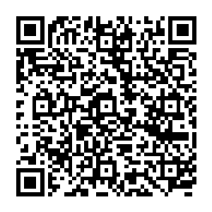 就是耗费了自己体内三百六十五个穴窍之内的真元力也不过是能够引动仙器的三分之一二维码生成