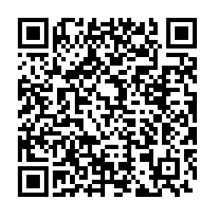 就是被女仙蓝瑶期及墨者的济世行为吸引而来的许多侠士剑客组成二维码生成