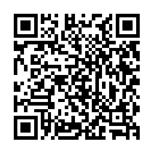 就是要与那种把考试当作终极目标的教育模式严格地区别开来二维码生成