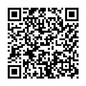 就是要管理好自己的世界树不要受到这样的伤害二维码生成