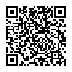 就是要让孙家和雪家这两个家族在同条战线上作战二维码生成