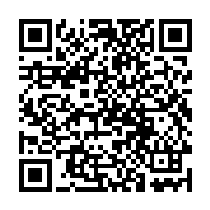 就是让叶秋去潜伏到另一个城市特别大的毒枭的窝里二维码生成