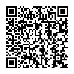 就是让我无论如何别暴露自己的真实名字……你说我能有啥办法……二维码生成