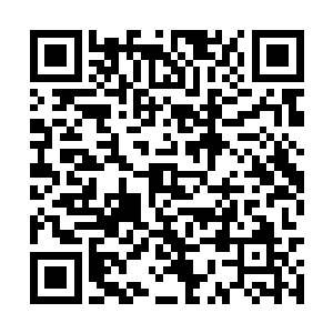 就是说刘洋冷淡的性子让她这里几乎没有什么访客二维码生成