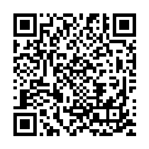 就是说明如果是我们也会选继续装瞎而使自己的谎言不会败露二维码生成