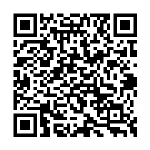 就是这位小兄弟让我弟弟将军令在花城屡次受挫二维码生成