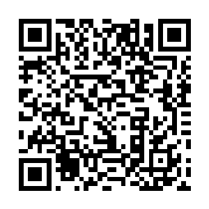 就是这帮好信儿的村民主动上我家告诉我村长家的动态的二维码生成