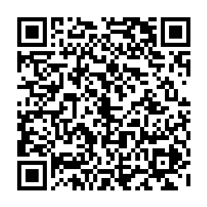 就是这样一幅清清寡寡看起来甚至有些冷淡的作态反而极能引起别人的好感二维码生成