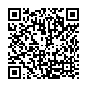 就是那些大家族的子弟对他们也不敢这样的无视二维码生成