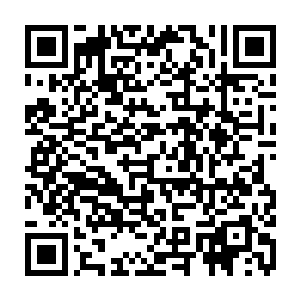 就是靠着每年这样一批批走出学校的年轻人们用鲜血和尸骨一点点堆出来的二维码生成