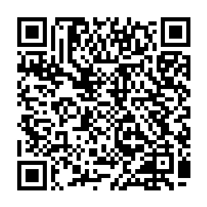 就有两名保安打扮的中年男子牵着一条魁梧壮硕的德国黑背从不远处走了过来二维码生成