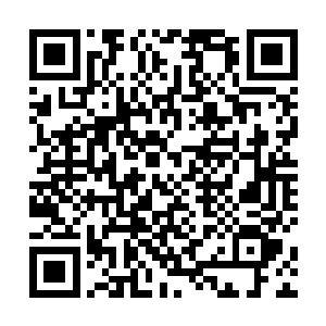 就有司农堂的人安排从两艘飞舟上下来的人去休息洗尘二维码生成