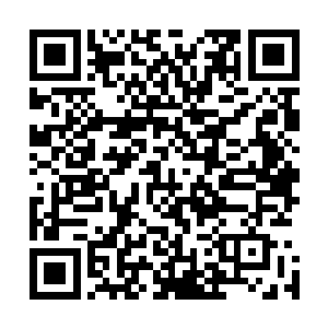 就比如在今天的会议开始前专门跟我聊过几句的威尔森先生二维码生成