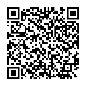 就永远的失去了很多人类的特征――他们不再拥有人类的五脏内腑二维码生成