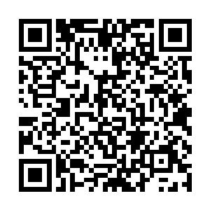 就演变成了一周打一次只要段位不掉的国服王者能比二维码生成