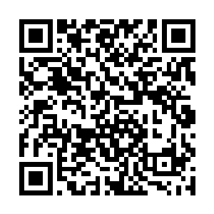 就用这个胡族最为拿手最为惨烈的驱生口博城的手段二维码生成