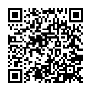 就看到他们将大厅中的客人还有服务员们全部抬了出来二维码生成