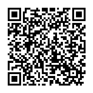 就看到白色的阿斯顿马丁和造型独特的奥迪r8在争夺第二名的位置二维码生成