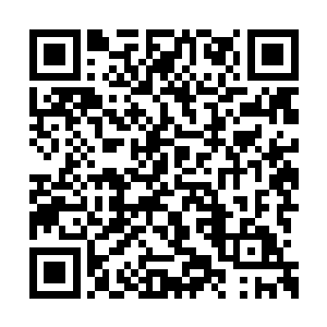 就看到秦老馆主也是瞬间动了……手势微微一抬二维码生成