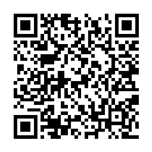 就看到蔚蓝星的任务后面的备注从未接的绿色标注二维码生成