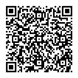 就看到那细腻的树干上却是浮现出了一道道浅痕组合而成的流墨墨和雪如楼的面容二维码生成
