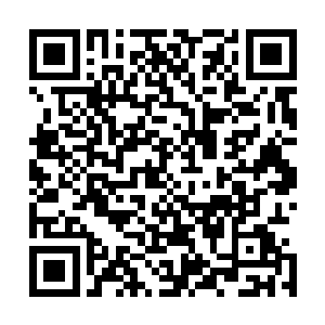 就看到龙皇神殿的总执冷嫚雪抱着一堆东西站在自己的门外二维码生成