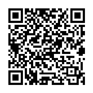 就着杨伯调好的糊糊给他明明白白的贴在了他家的大门上二维码生成