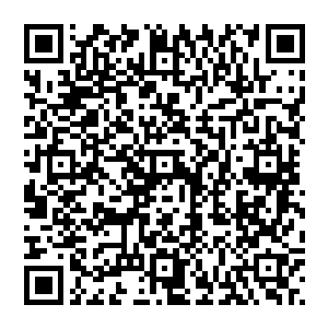 就算不能真正的吞噬月亮 但那恐怖的吞噬之力 只怕是能够赶得上风清扬尸王血脉的吞噬效果了二维码生成