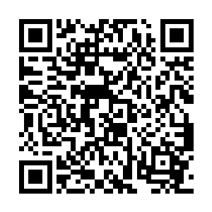 就算他们之中有一半的人联合最终被杀死的一定是你二维码生成