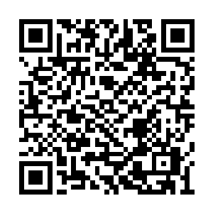 就算他们付出生命也不会让它们踏进部落一步的二维码生成