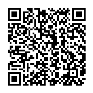 就算他是天才中的天才恐怕也不过只达到了大能级别的实力那已经是不得了了吧二维码生成