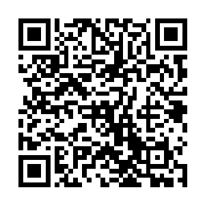 就算你在马路上走着说不定头顶就能给你掉下一花盆来二维码生成