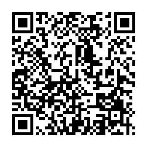 就算刚才议论中主张硬着头皮南下的渠帅这个时候也只能默不作声二维码生成