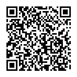 就算是为了两个还未出世的孩子萧风都得要扫平所有障碍和敌人免得他们受伤害二维码生成