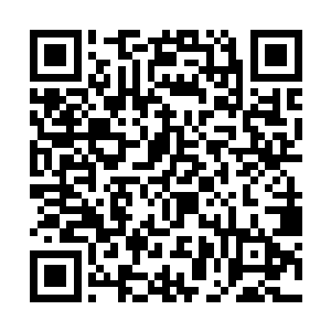 就算是他们的门主也不敢保证自己一定能够活着回来二维码生成