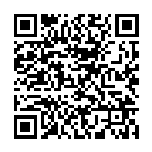 就算是以这个血族老怪的速度也根本没有机会离开二维码生成