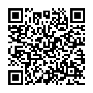 就算是刀家的人都不敢因为祁清尘和毒灵两人去毁掉传送阵二维码生成