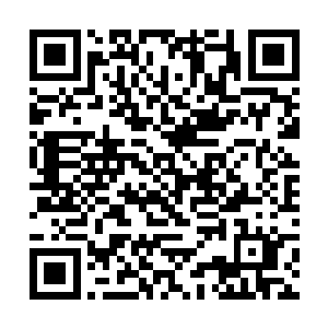 就算是小蛇的强大攻击对这东西也几乎没有什么作用二维码生成