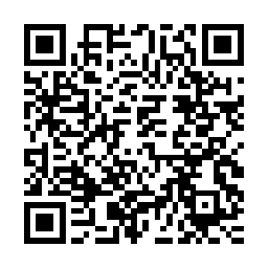 就算是当初建立任务世界的仙人可以推测出世龙仙人的样貌变化二维码生成