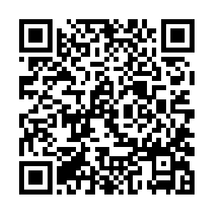 就算是当时他和吞鹏与红虎一起组队的时候也是这样二维码生成