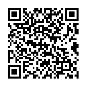 就算是早已经习惯了疼痛的季疏云都忍不住为微微颤抖二维码生成