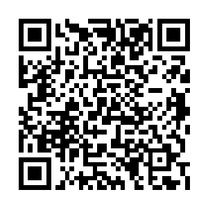 就算是炼丹工会买的补血丹也不会这么高的价格二维码生成