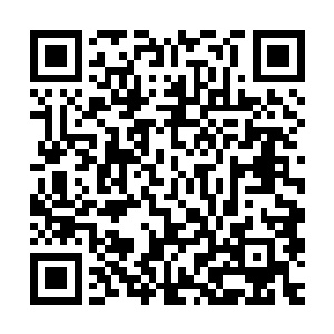 就算是等闲的无极天境界的高手一般也不会深入到这么远的距离二维码生成