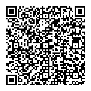 就算是船上的人再听不懂虎鲸的语言从两只小虎鲸欢快的叫声中也能多少明白一点儿此时两只小虎鲸心中的兴奋之情二维码生成