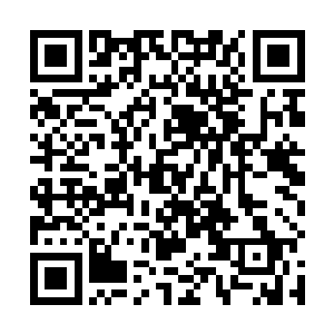 就算是被那只翼龙气过的巡逻战士们也不得不承认这点二维码生成