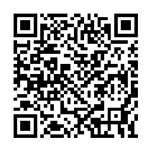 就算是赖布衣和杨公他们恐怕也没有这样的机缘二维码生成