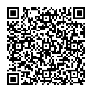 就算是达到了神尊的级别在他体内感受到混沌法则这也是一件令人十分惊骇的事情二维码生成