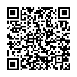 就算是那个魔君实力仅次于魔王也不过是顶级神罢了二维码生成