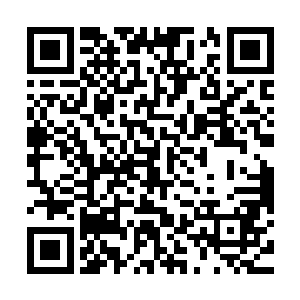 就算是那些同样掌握了大道法则的顶级强者都会应付得极为狼狈二维码生成