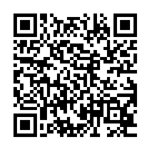 就算是龙傲天在见到她第一眼的时候也是有一种眼前一亮的感觉二维码生成